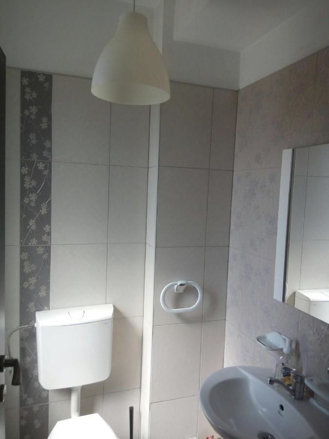 Гостевой дом Casa Ghetu Fundeni Бухарест